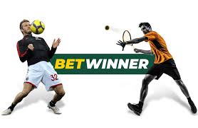 Exploring the Exciting World of BetWinner Casino Slots