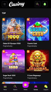 The Complete Guide to the Casiny App Your Portal to Winning The Complete Guide to the Casiny App Your Portal to Winning